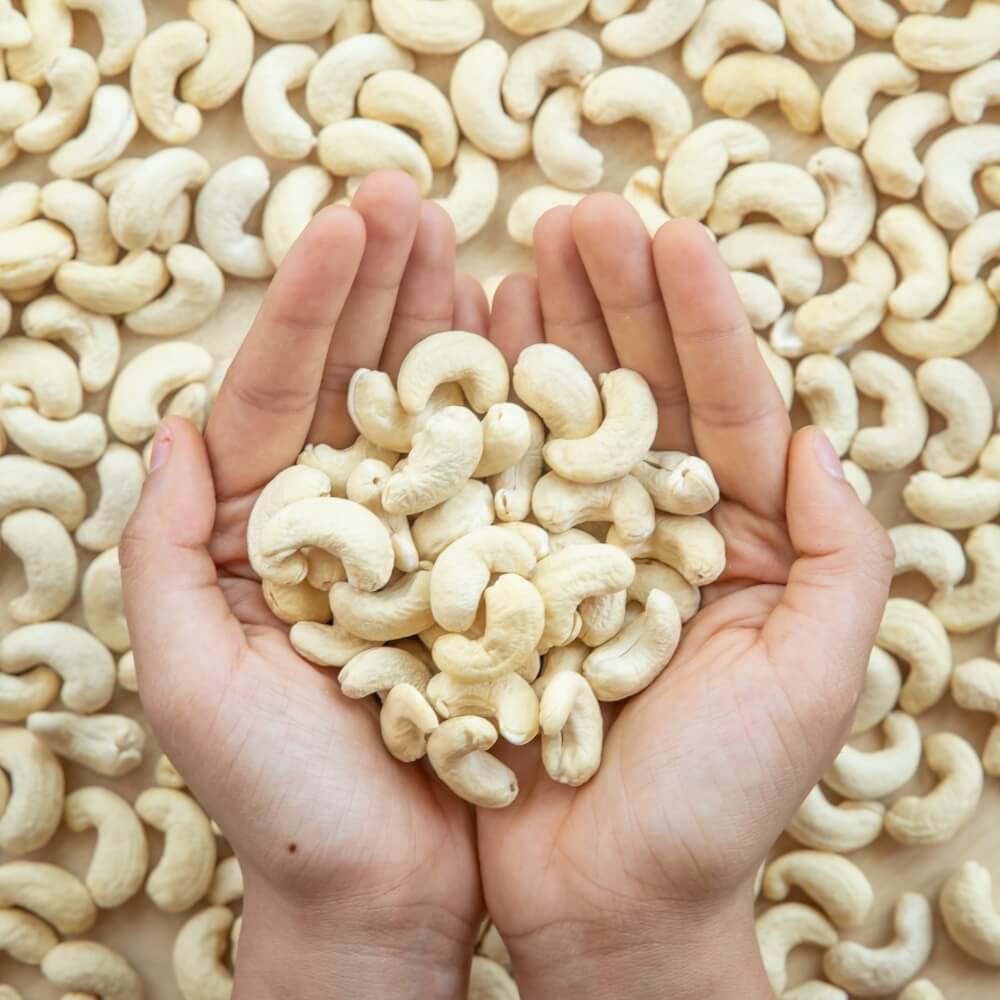 Premium Cashew Nuts whole